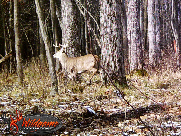 On Wisconsin Outdoors