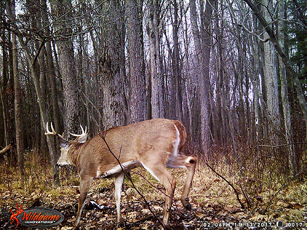 On Wisconsin Outdoors