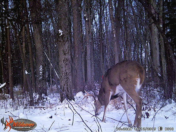 On Wisconsin Outdoors