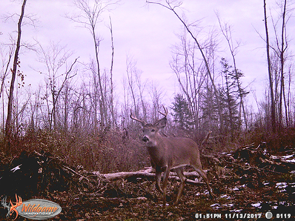 On Wisconsin Outdoors