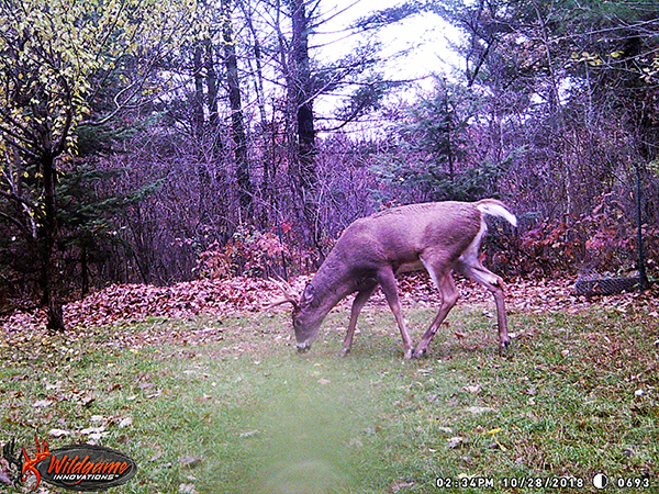 On Wisconsin Outdoors