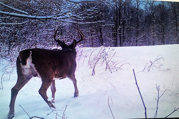 On Wisconsin Outdoors