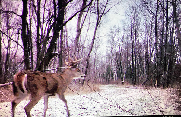 On Wisconsin Outdoors