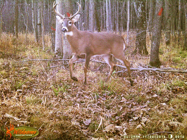 On Wisconsin Outdoors