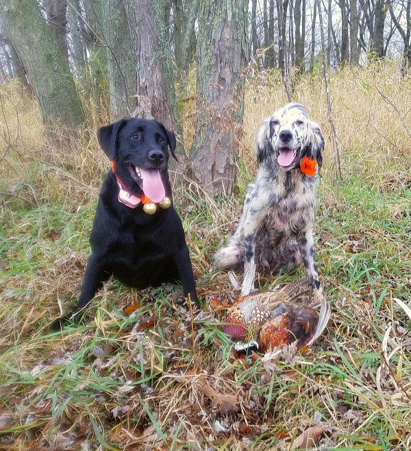 On Wisconsin Outdoors On Wisconsin Outdoors