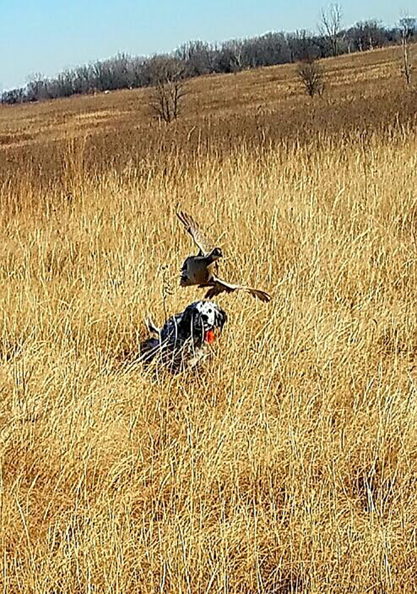 On Wisconsin Outdoors