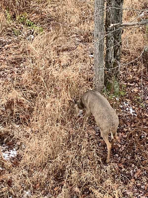 On Wisconsin Outdoors