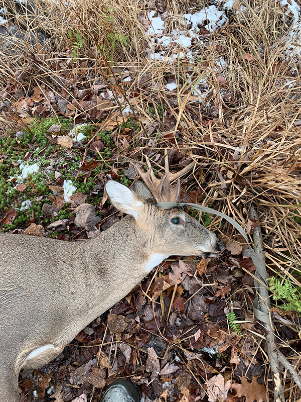 On Wisconsin Outdoors