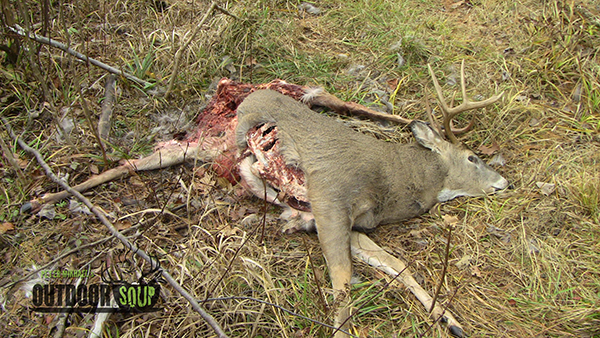 On Wisconsin Outdoors On Wisconsin Outdoors