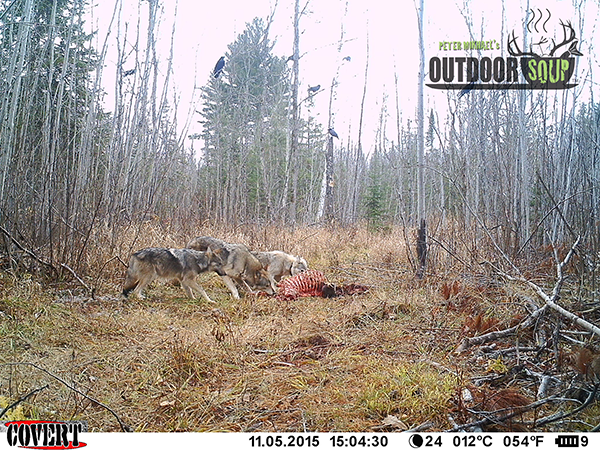 On Wisconsin Outdoors On Wisconsin Outdoors