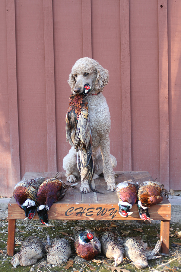 On Wisconsin Outdoors On Wisconsin Outdoors