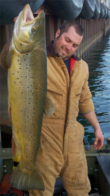 Wisconsin Brown Trout Fishing