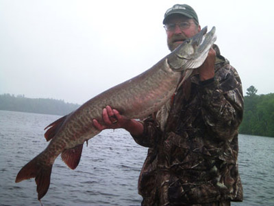 45 inch musky caught and released