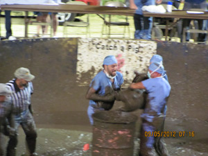 Hug a Hog Richland County Fair