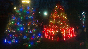 Richland County Holiday Lights