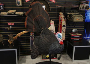 Mojo Turkey