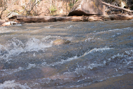 Ashland Steelhead