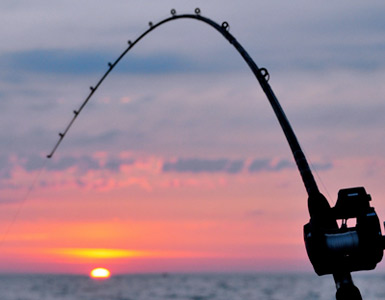 Lake Michigan fishing