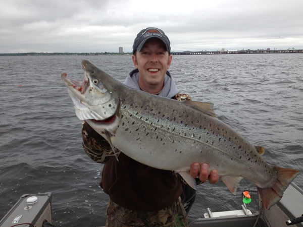 Milwaukee Harbor Brown Trout