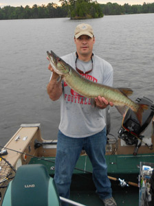 Musky caught Manitowish Chain in Wisconsin