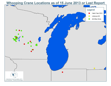 Wisconsin Whooping Crane Locations