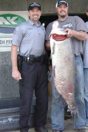 Wisconsin Buffalo Carp