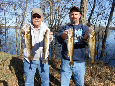 Wisconsin River walleyes