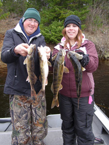 Nice Walleye