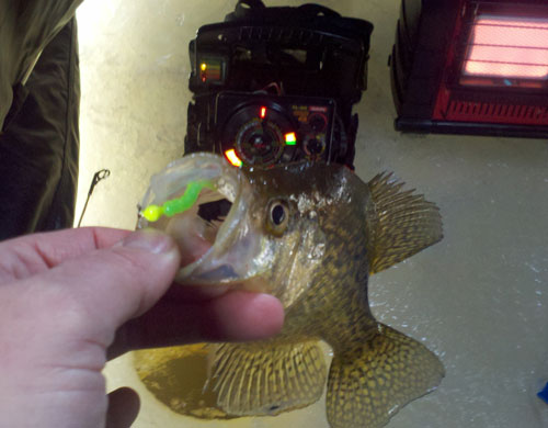 ice fishing in wisconsin