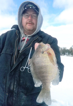 Wisconsin Ice Fishing Bluegill