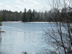 ice report cheppewa flowage