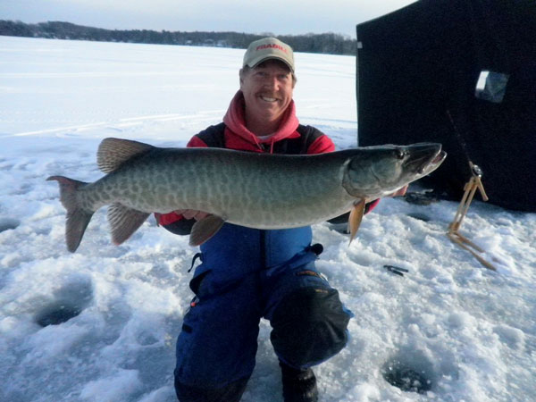 Schweik Walleye