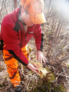 Cleaning with swamp moss, perfect!