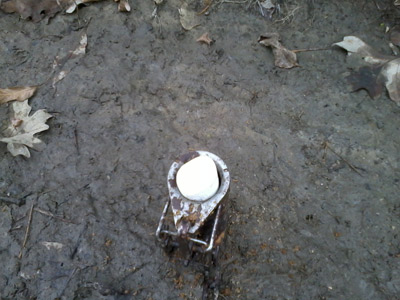 Enclosed trigger trap set next to a raccoon trail