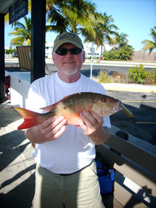 Red Snapper Catch