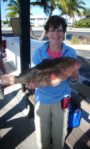 Grouper Catch