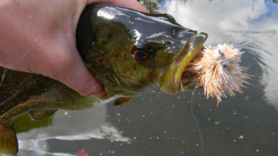 Wisconsin Fishing