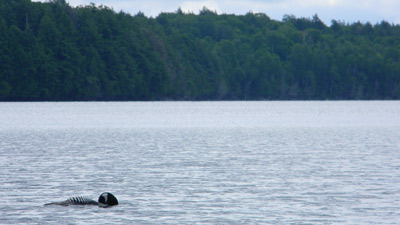 A true north woods fisherman.