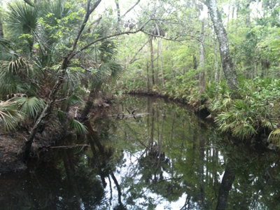 Florida river