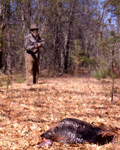 wisconsin turkey hunting