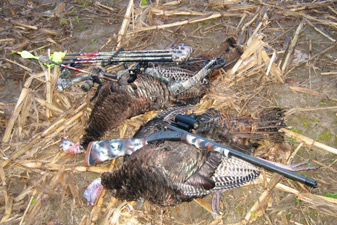 Wisconsin spring turkey hunting