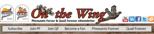 Pheasant newsletter