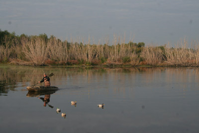 dane county youth duck hunt