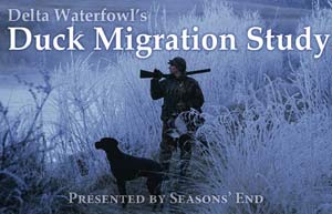 Delta Waterfowl Duck Migration Study