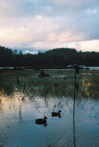 Duck hunting Wisconsin