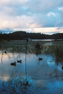 Duck hunting Wisconsin