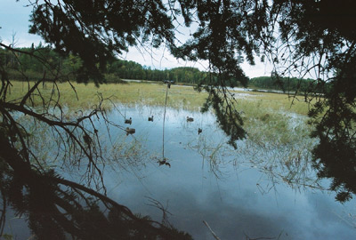 Duck hunting Wisconsin