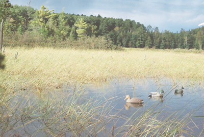 Duck hunting Wisconsin