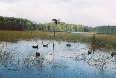 Duck hunting Wisconsin