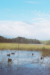 Duck hunting Wisconsin